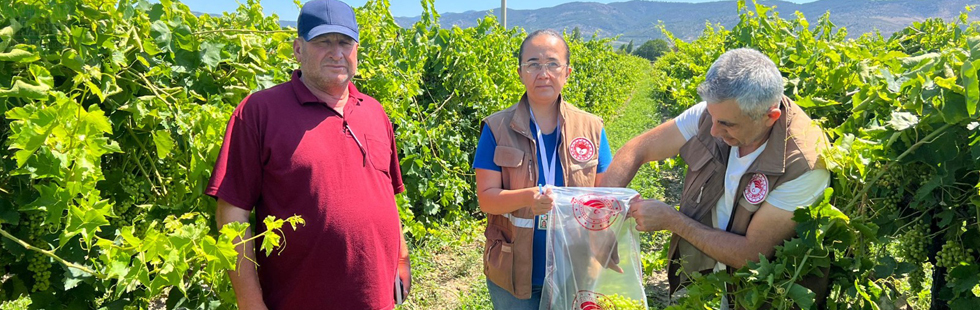 İlçe Tarımdan Hasat Öncesi Pestisit Denetimi