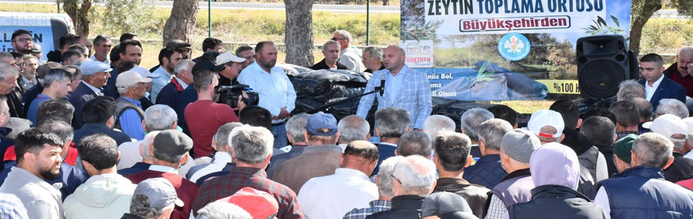 Büyükşehir’den Zeytinin Başkentinde Üreticiye Destek