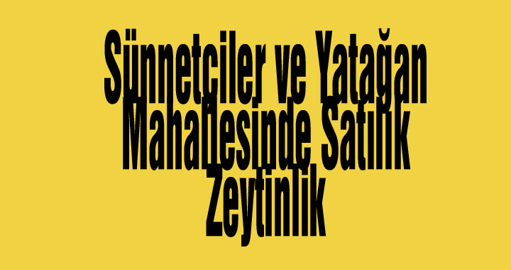 Sünnetçiler ve Yatağan Mahallesinde Satılık Zeytinlik