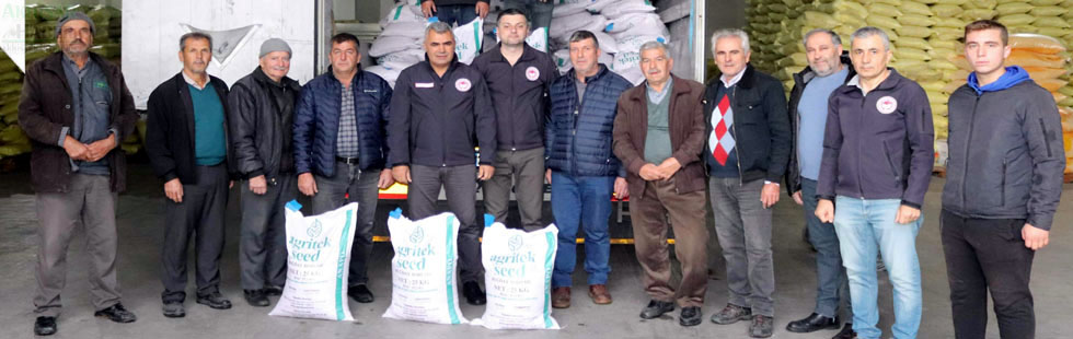 Çiftçilere yüzde 75 hibeli buğday tohumu dağıtıldı