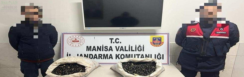 Akhisar Jandarma hırsızlara göz açtırmıyor