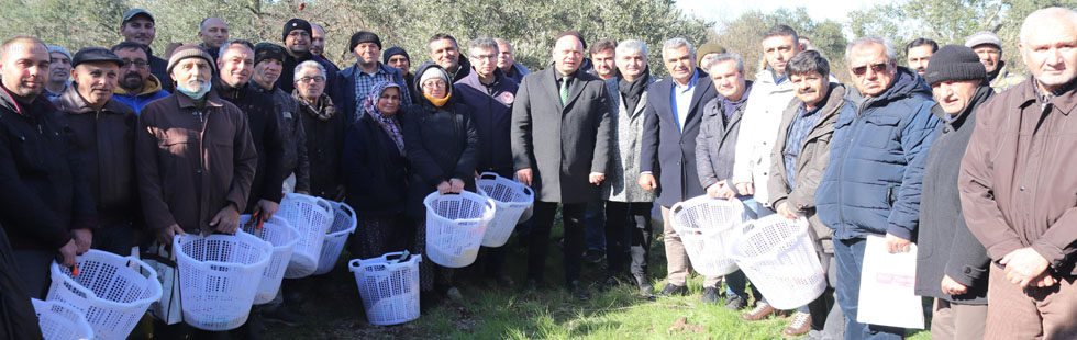 Üreticilerden Zeytin Budama Kursu’na Yoğun İlgi