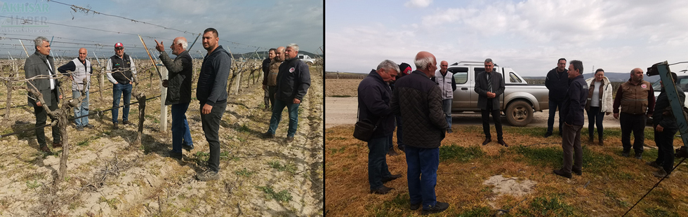 Bağlarda Oluşan Zirai Don Zararı Kontrolleri Devam Ediyor