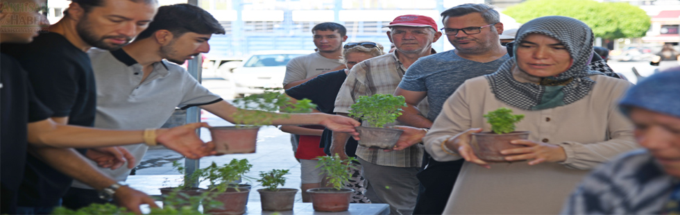 Akhisar Belediyesi Ürettiği Fesleğenleri vatandaşa dağıttı