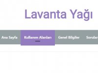 Lavanta Yağının Faydaları Nelerdir?