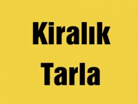 Kiralık Tarla