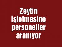 Zeytin işletmesine personeller aranıyor