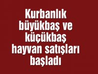 Kurbanlık büyükbaş ve küçükbaş hayvan satışları başladı