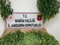 Jandarma Göz Açtırmıyor