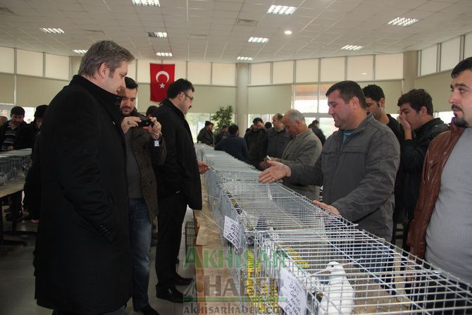 Birbirinden Güzel Güvercinler Akhisar’da Yarıştı