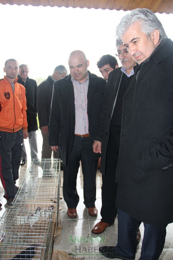 Birbirinden Güzel Güvercinler Akhisar’da Yarıştı