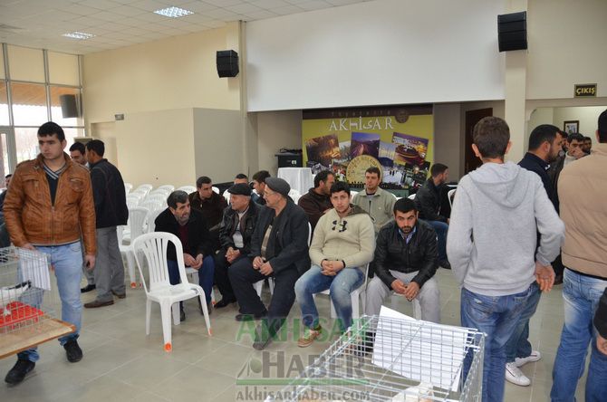 Birbirinden Güzel Güvercinler Akhisar’da Yarıştı