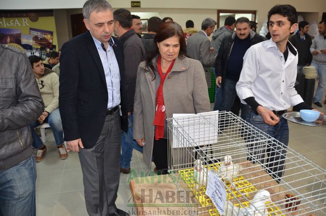 Birbirinden Güzel Güvercinler Akhisar’da Yarıştı