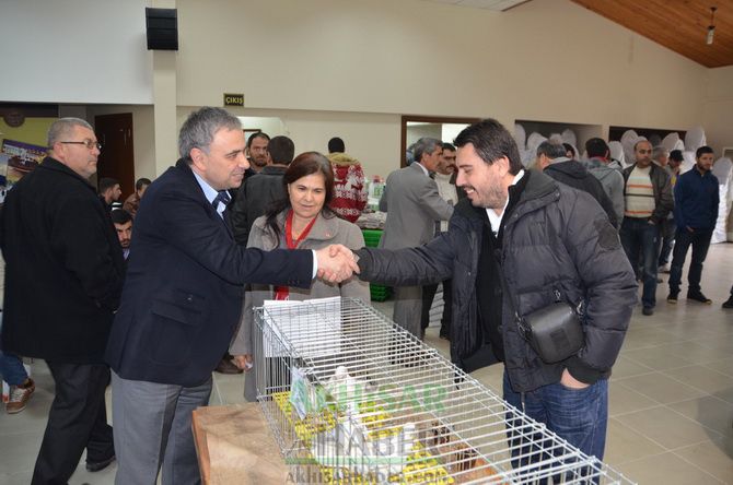 Birbirinden Güzel Güvercinler Akhisar’da Yarıştı