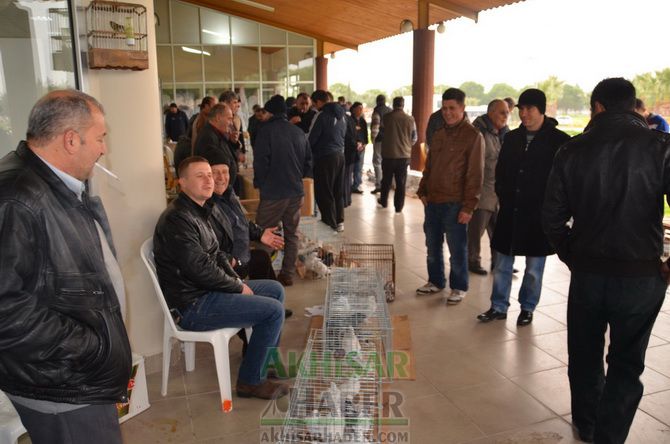 Birbirinden Güzel Güvercinler Akhisar’da Yarıştı