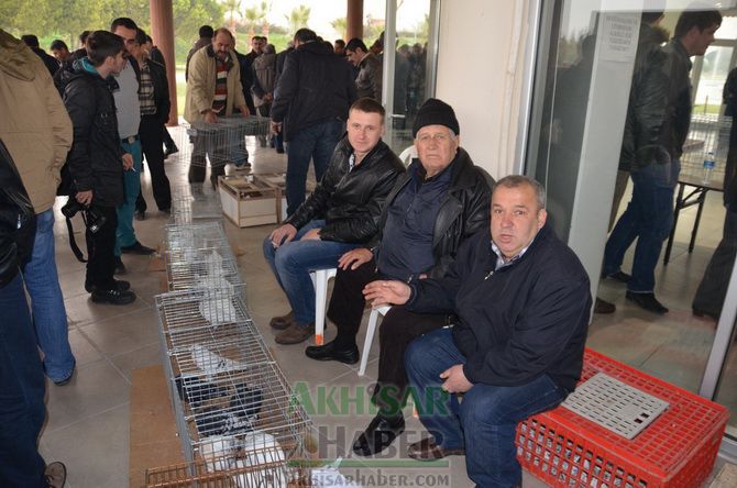 Birbirinden Güzel Güvercinler Akhisar’da Yarıştı