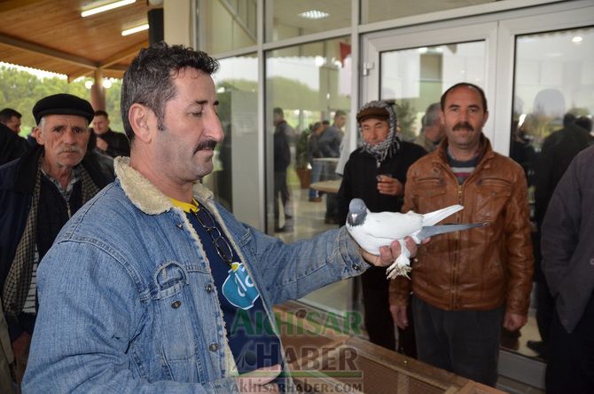 Birbirinden Güzel Güvercinler Akhisar’da Yarıştı