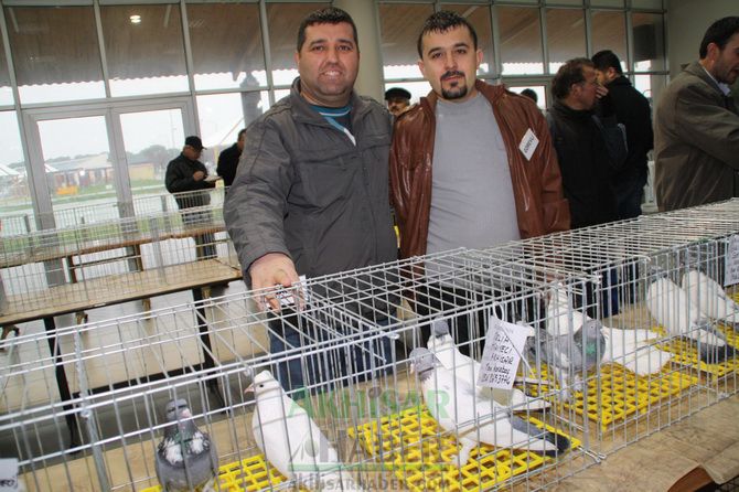 Birbirinden Güzel Güvercinler Akhisar’da Yarıştı