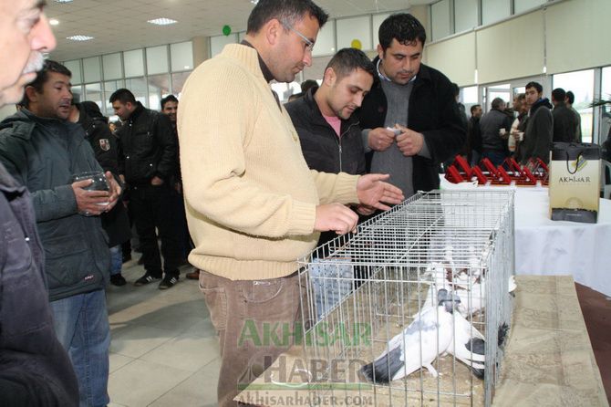 Birbirinden Güzel Güvercinler Akhisar’da Yarıştı