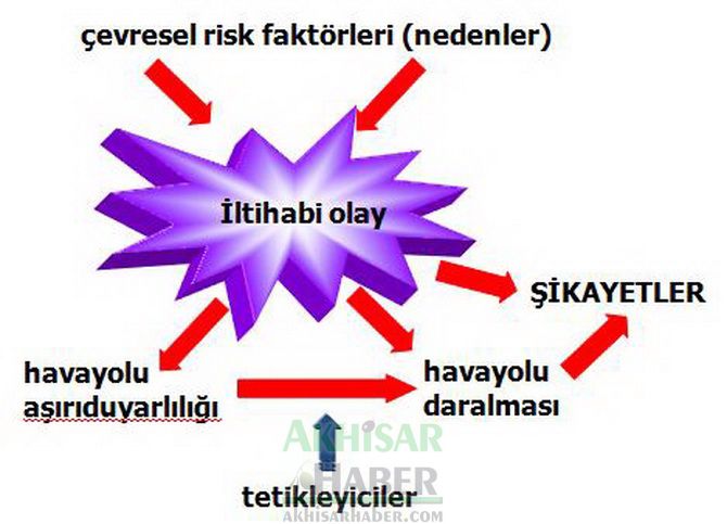 6 Mayıs Dünya Astım Günü